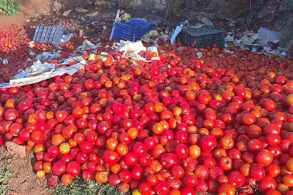 ஒரு கிலோ ரூ.10 என்று விற்கப்பட்ட நிலையில் தற்போது வெளி மாநிலத் தேவை குறைந்துள்ளது.