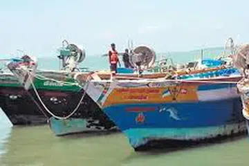 விடுவிக்கப்பட்ட 12 படகுகள் இலங்கையின் மயி​லிட்டி துறைமுகத்​தில் நிறுத்திவைக்கப்பட்டுள்ளன.