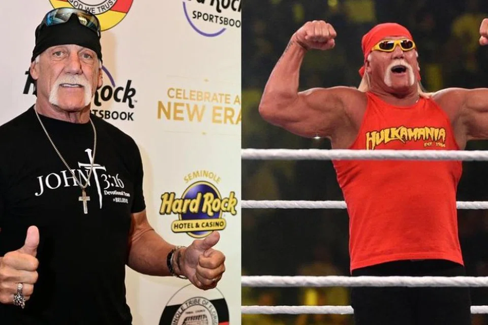 23a69aba-9140-4285-8fd5-774c5e42da18