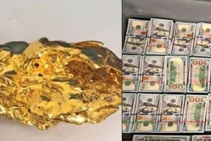 துபாயில் இருந்து சென்னைக்கு கடத்திவரப்பட்ட தங்கம் பறிமுதல்