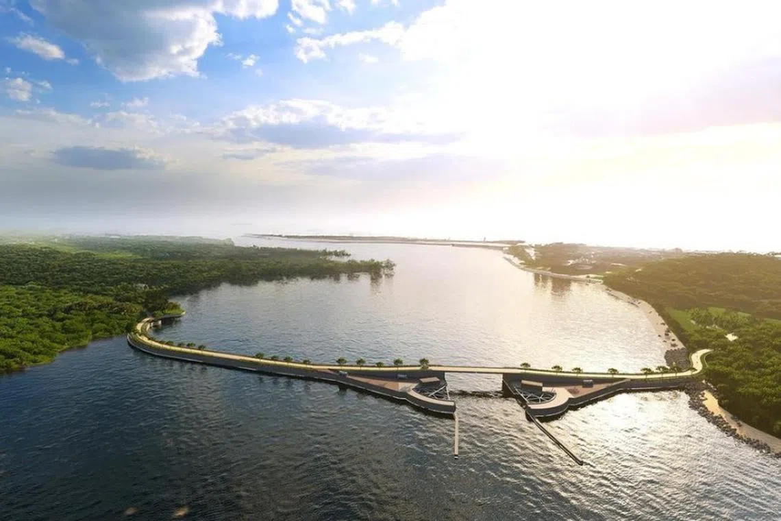 சிங்கப்பூரின் தென்கிழக்குக் கடற்கரை தடுப்பணைகள், அலை வாயில் பாதுகாப்பு