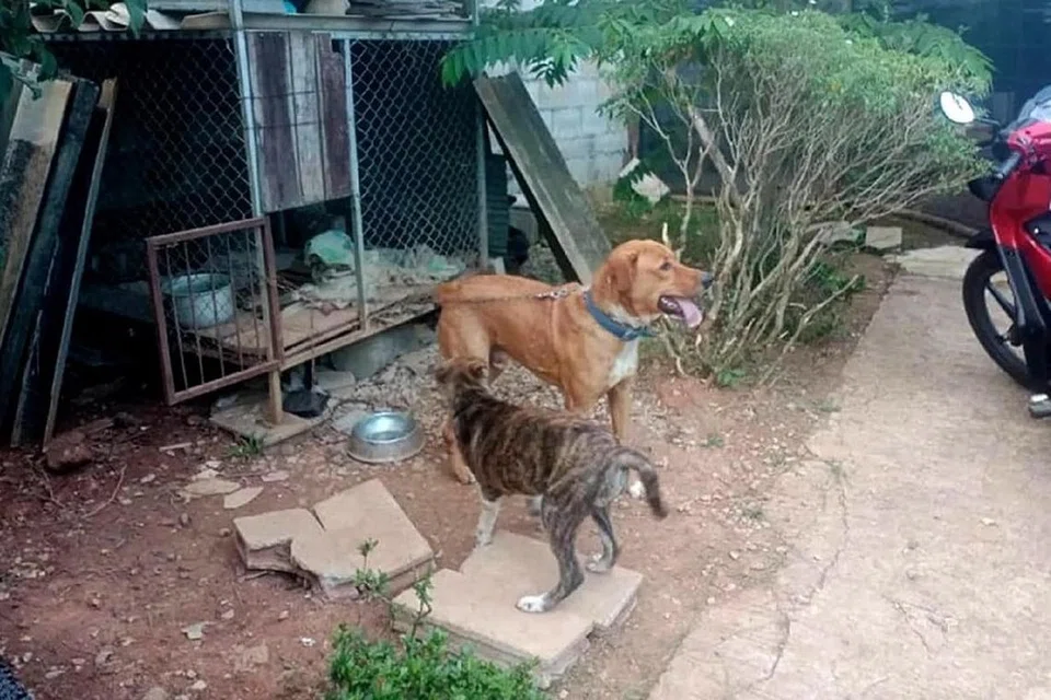 2f291d04-7c19-4348-8d9e-52e269a9ee88