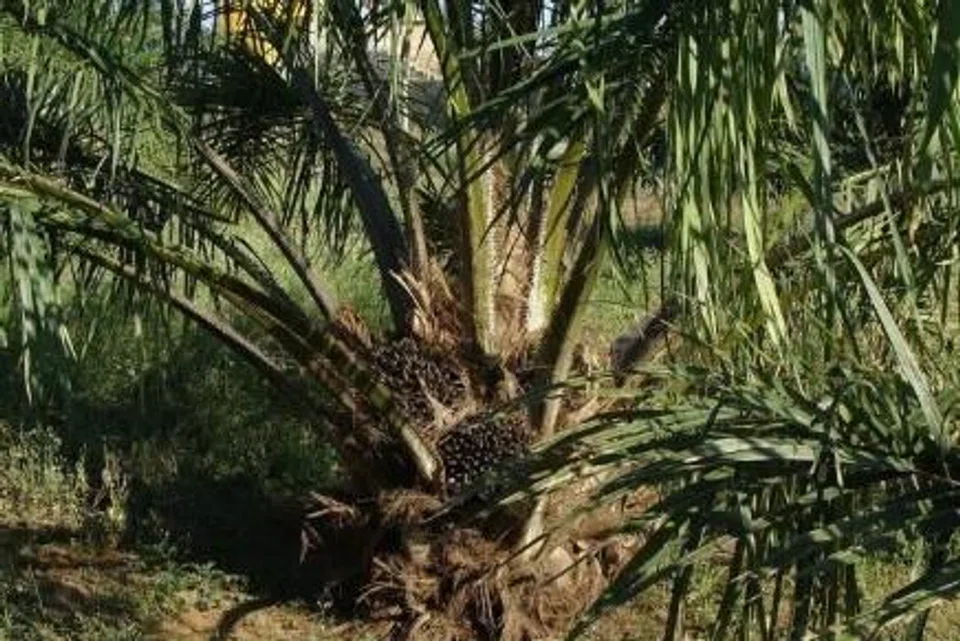 61ef9bb8-1f0f-4375-be62-7a862bf08de6