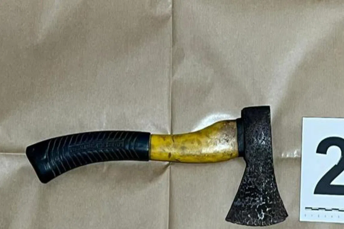 ஆயுதம் வைத்திருந்ததாக ஆடவர்மீது குற்றச்சாட்டு