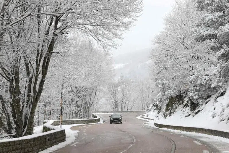 குளிர்ச்சியான பகுதிகளுக்குச் சுற்றுலா: பன்மடங்கு அதிகரிப்பு