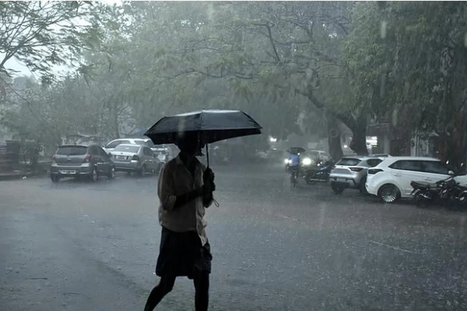 தேனி, தென்காசி, திருநெல்வேலி மற்றும் கன்யாக்குமரி மாவட்டங்களிலுள்ள குறிப்பிட்ட சில இடங்களில் மழைப்பொழிவு கூடுதலாக இருக்கும் என எதிர்பார்க்கப்படுகிறது.