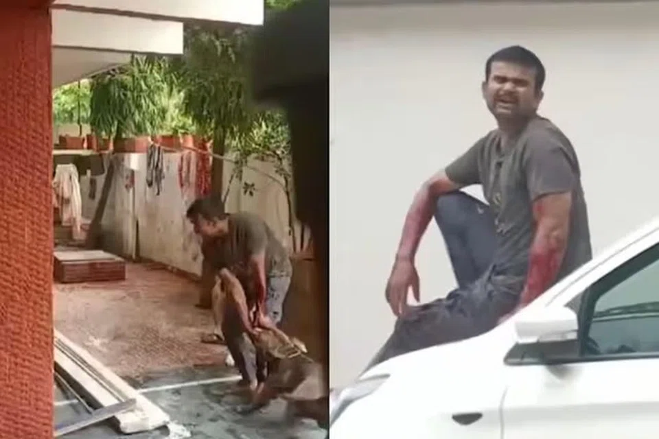 அலறியபடியே வீட்டிற்கு வெளியே ஓடி, வீதியோரம் நிறுத்தப்பட்டிருந்த கார் மீதேறி, நாய்களின் பிடியிலிருந்து தப்பிய சல்மான்கான்.