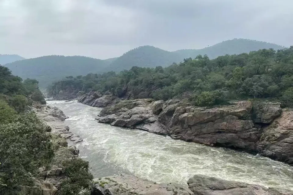 காவிரியின் குறுக்கே மேகதாதுவில் அணை கட்ட கர்நாடகா முயற்சி மேற்கொண்டு வருகிறது. அணை கட்டக்கூடாது என்று தமிழக அரசு போராடி வருகிறது.