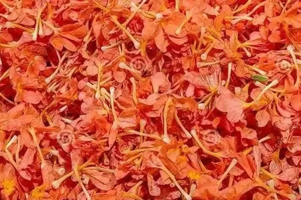 தமிழ்நாட்டில் ஆடிப்பெருக்குப் பண்டிகைக் கொண்டாடப்படும் சூழலில் பூ விலை கூடிவிட்டது. கனகாம்பரம் கிலோ ரூ.600க்கு விற்கப்படுகிறது. 