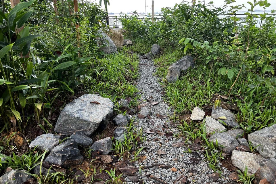 250 மீ. நடைபாதையோரமாக கற்கள், செடி கொடிகளாலான இயற்கை வடிகால்கள்.