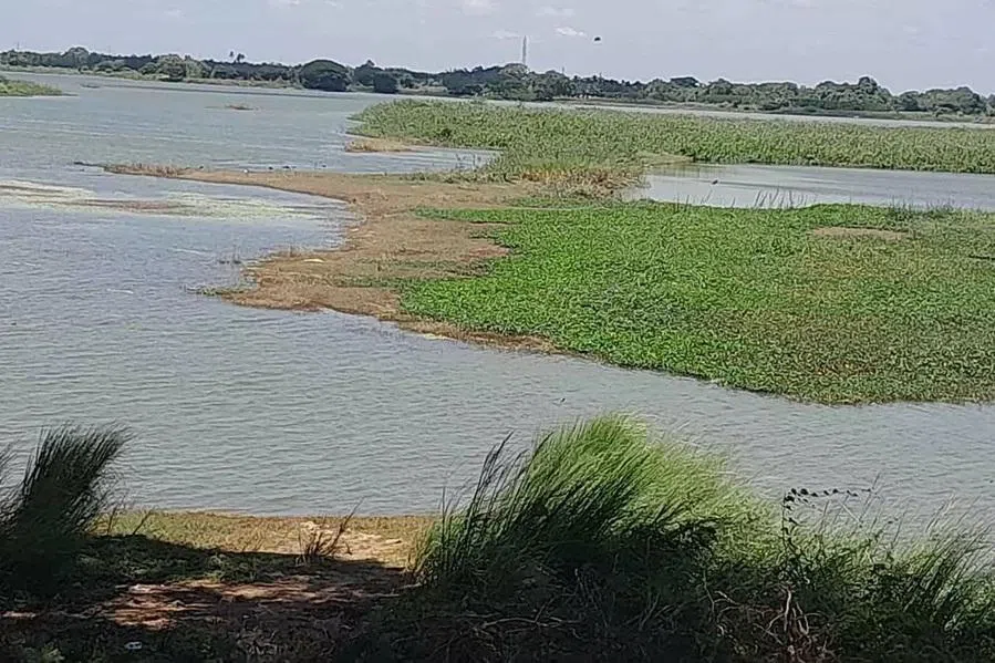 1,900 ஏரிகளில் நீர் இருப்பு குறைந்தது: பாசனப் பணிகள் பாதிக்கப்படலாம்