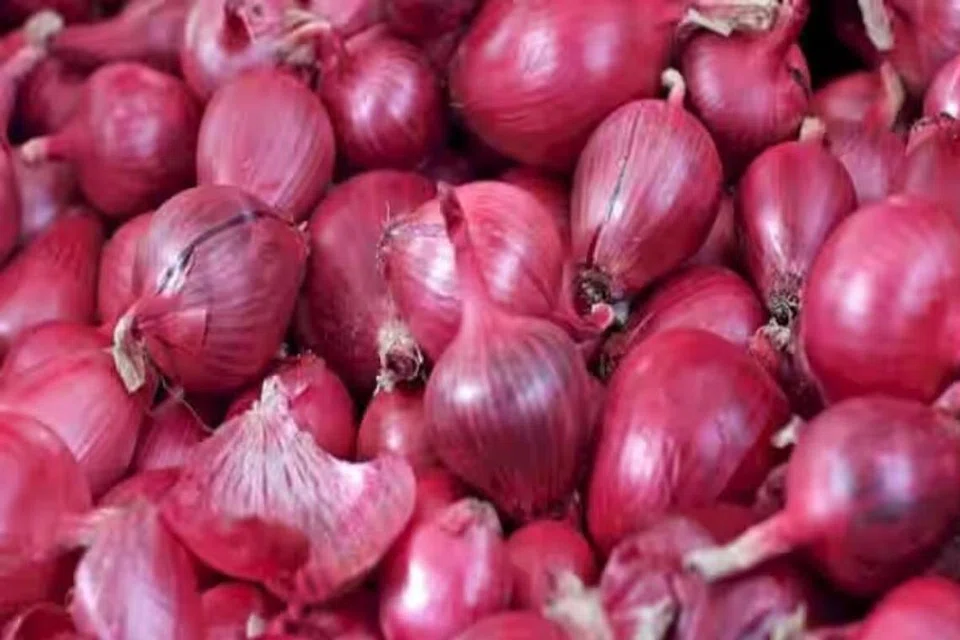 குறைக்கப்பட்டிருந்த வெங்காய ஏற்றுமதி வரி இப்போது மீட்டுக்கொள்ளப்பட்டுள்ளது.