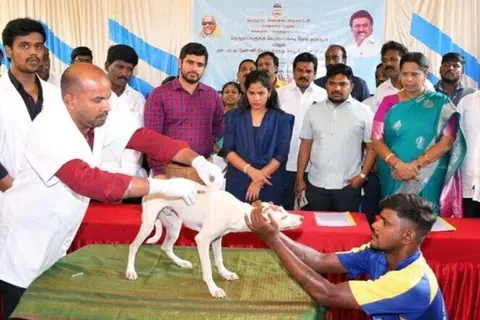 தெருநாய்களுக்கு வெறிநாய்க்கடி தடுப்பூசி போடும் மாபெரும் திட்டத்தை இவ்வாண்டு ஆகஸ்ட் 9ஆம் தேதி சென்னை மாநகராட்சி மேயர் பிரியா தொடங்கிவைத்தார்.
