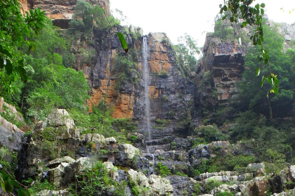 தலகோணா வனப்பகுதியின் நீர்வீழ்ச்சியும் இயற்கை அழகும் பயணிகளை மிகவும் கவர்வது.