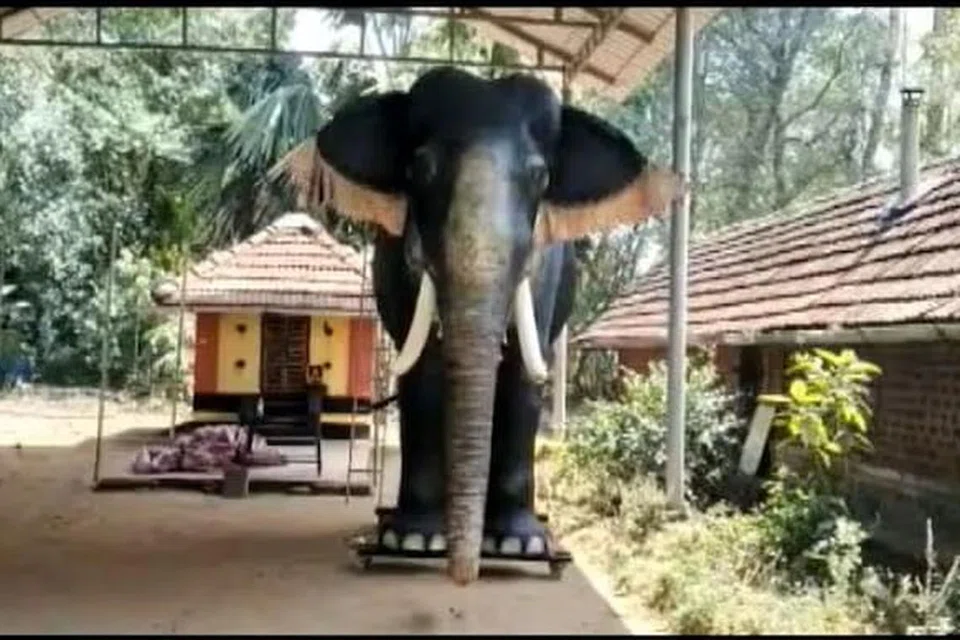 படம்: இந்திய ஊடகம்