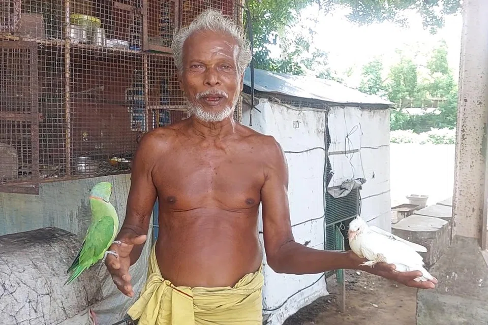 அபி என்ற பேசும் கிளி, சிங்கப் புறா என்ற புறாவுடன் திரு பழனி.