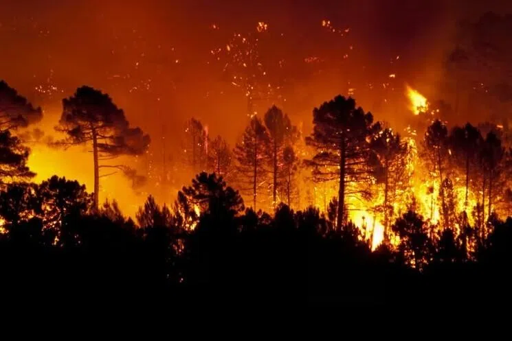 ஜப்பானின் ஒட்சுச்சியில் ஐந்தாவது நாளாக கொழுந்துவிட்டு எரியும் காட்டுத்தீ