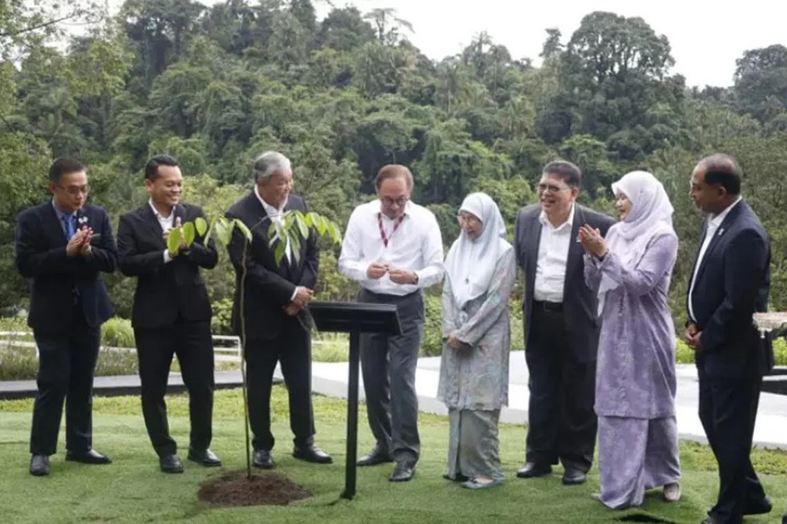 100 மில்லியன் மரங்கள்: சாதித்தது மலேசியா