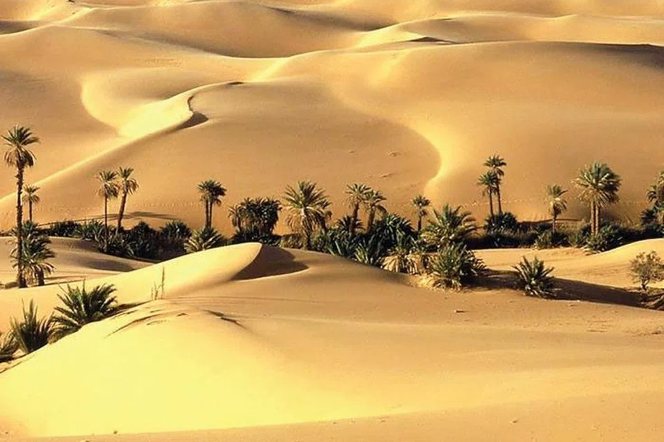 b190460c-1e5f-4431-b81b-97bc0d7cca8f