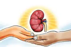  சிறுநீரக விற்பனை புகார் தொடர்பாக பள்ளிபாளையத்தில் மருத்துவக் குழுவினர் விசாரணை மேற்கொண்டனர்.