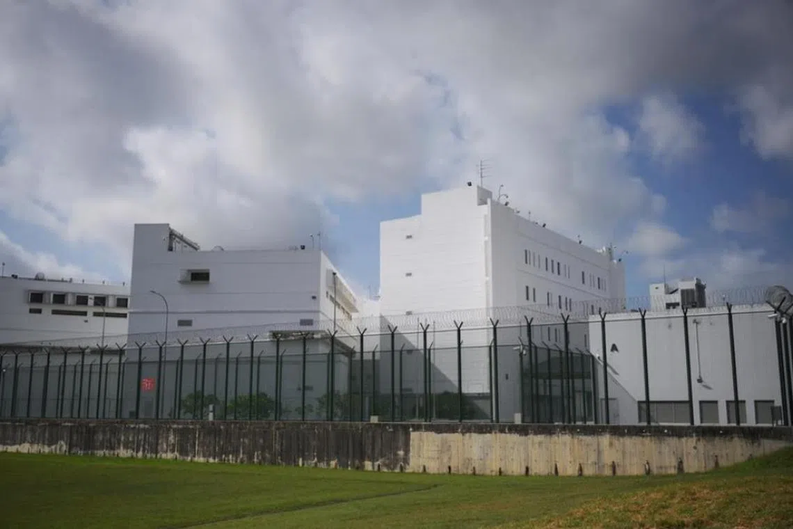 தலைமறைவுக் கும்பல் நடவடிக்கைகள்: அதிகமான இளையர்கள் சிறையிலடைப்பு