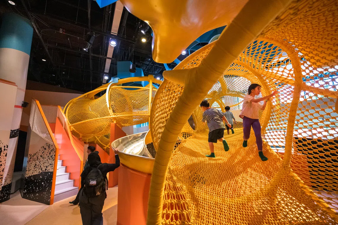 இயற்கையைப் பற்றி எடுத்துரைக்கும்  விளையாட்டுப் பூங்கா