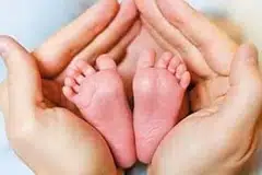 முந்தைய ஆண்டுகளைவிட பிறப்பு விகிதம் குறைந்து இருப்பதாக தரவுகள் தெரிவிக்கின்றன.