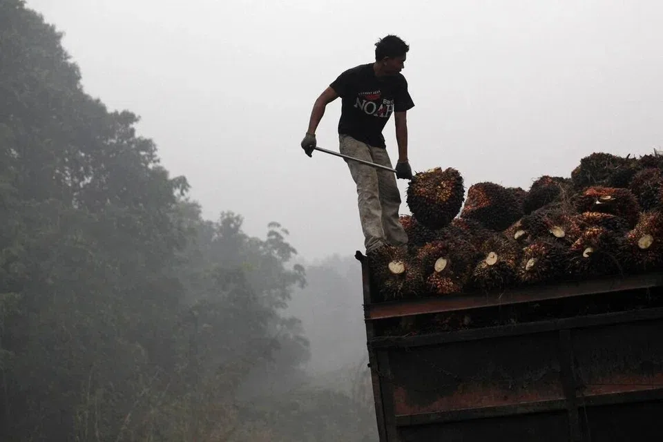 காற்று மாசுபாட்டால் தென்கிழக்காசியா நாடுகளில் பலர் உயிரிழக்கலாம்: ஆய்வு