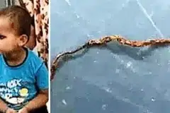 சிறுவன் அக்‌ஷய்யும் அவன் மென்று துப்பிய குட்டிப் பாம்பும். படங்கள்: இந்திய ஊடகம்