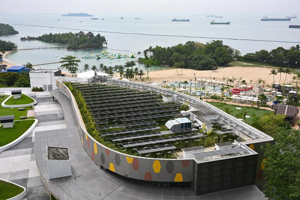 சூரியசக்தித் தகடுகளை அதிகளவு பயன்படுத்த செந்தோசா மேம்பாட்டுக் கழகம் முயற்சி எடுத்து வருகிறது.