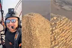 கிஸா பிரமிடின் உச்சியில் சுற்றித் திரிந்த நாய். அதனைப் படம்பிடித்த அலெக்ஸ் லாங்கால்.