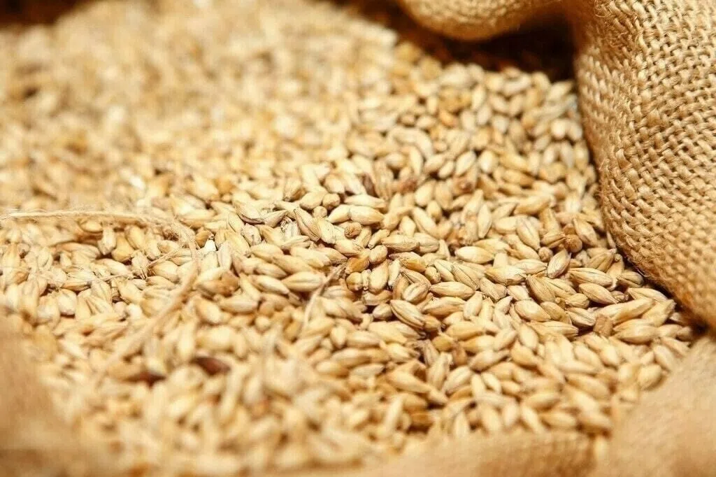 கோதுமை, மாவு ஏற்றுமதித் தடை தொடரும்: பிர‌ஸ்லாத் ஜோ‌ஷி