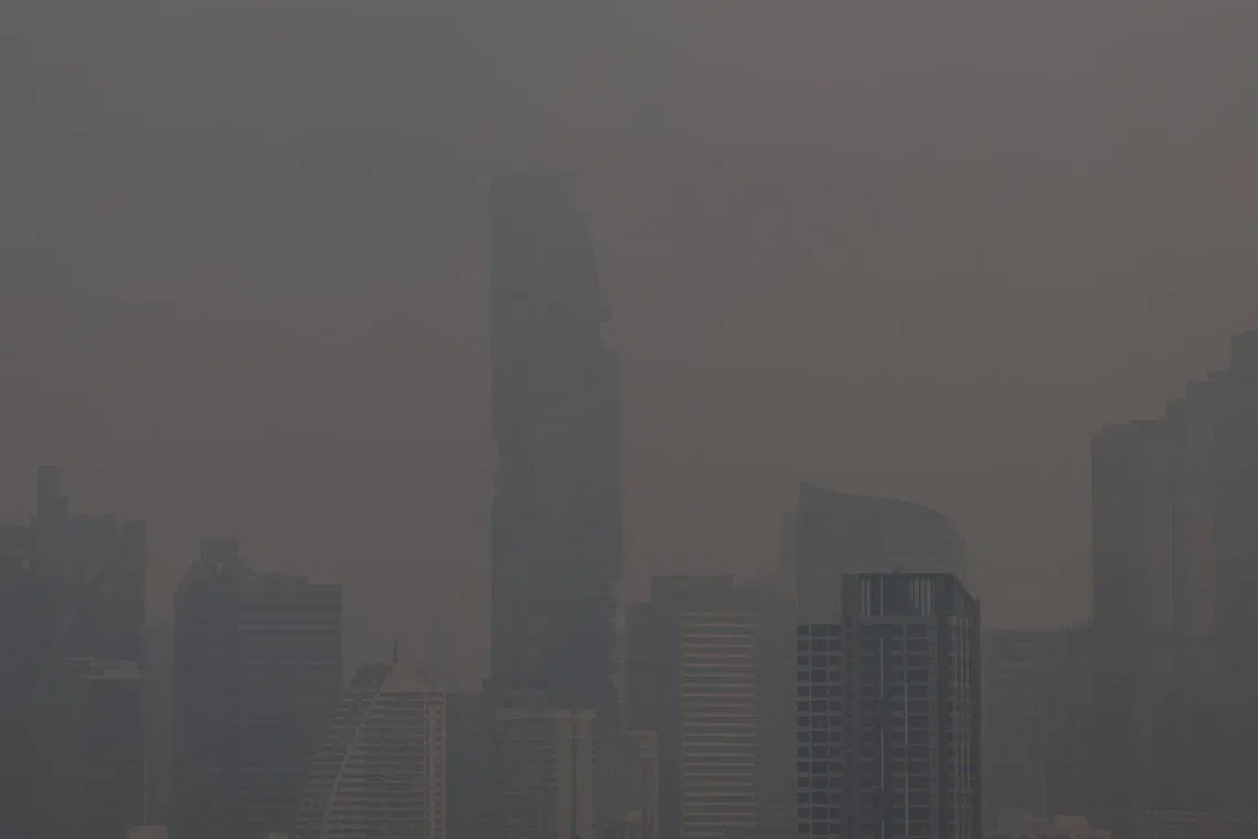 எரிக்க வேண்டாம், தாள்களை மின்னிலக்க வடிவில் படைக்கலாம்: சீனர்களிடம் தாய்லாந்து