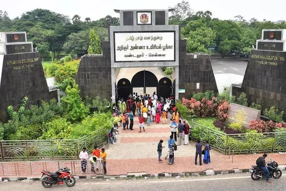 தமிழ் நாட்டில் தொடர் விடுமுறை காரணமாக கடந்த நான்கு நாள்களில் மட்டும் 56,000 பேர் வண்டலூர் உயிரியல் பூங்காவுக்கு வருகை தந்துள்ளதாகக் கூறப்படுகிறது.