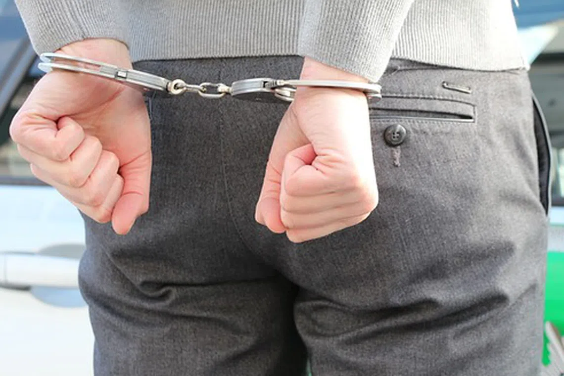 ரூ.87 கோடி மோசடி: தாய்லாந்திலிருந்து நாடுகடத்தப்பட்ட தமிழக ஆடவர்