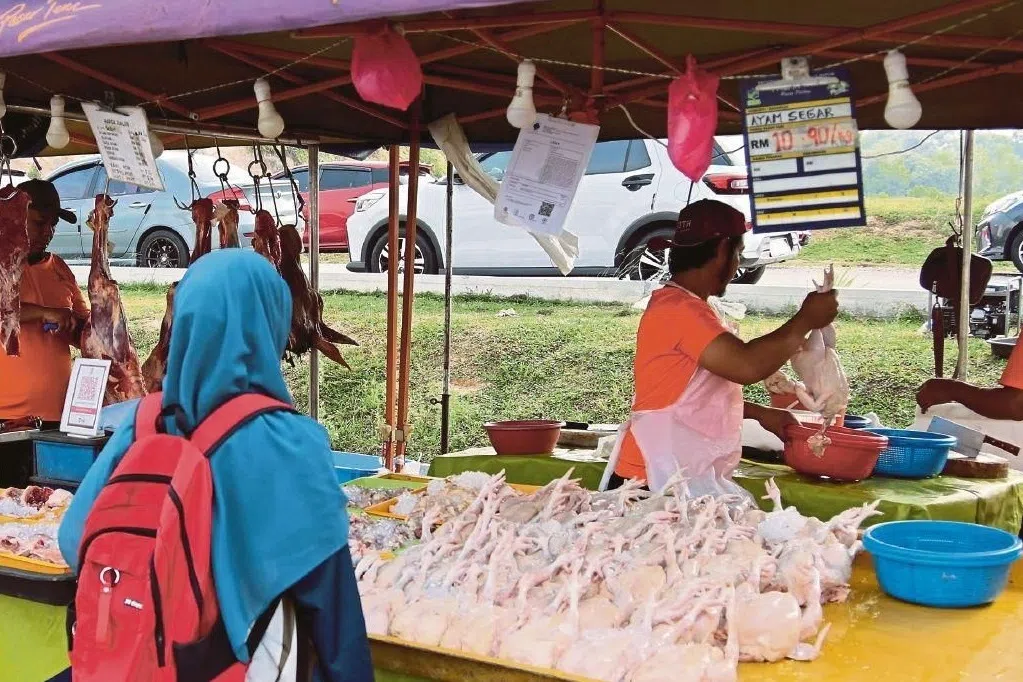 மலேசியாவில் கோழிப்பண்ணைகள் மூடப்படுகின்றன: கோழி, மூட்டை விலை உயர்வு
