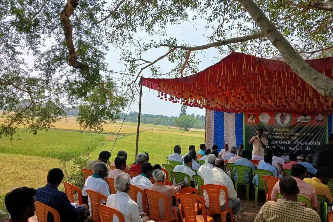 சத்துமிகுந்த தில்லைநாயகம் நெல்லை பயிரிட ஆய்வாளர் வலியுறுத்து