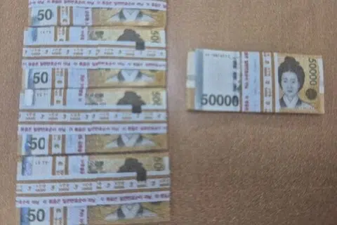 குப்பைப் பையில் இருந்த பணக்கட்டுகள்.