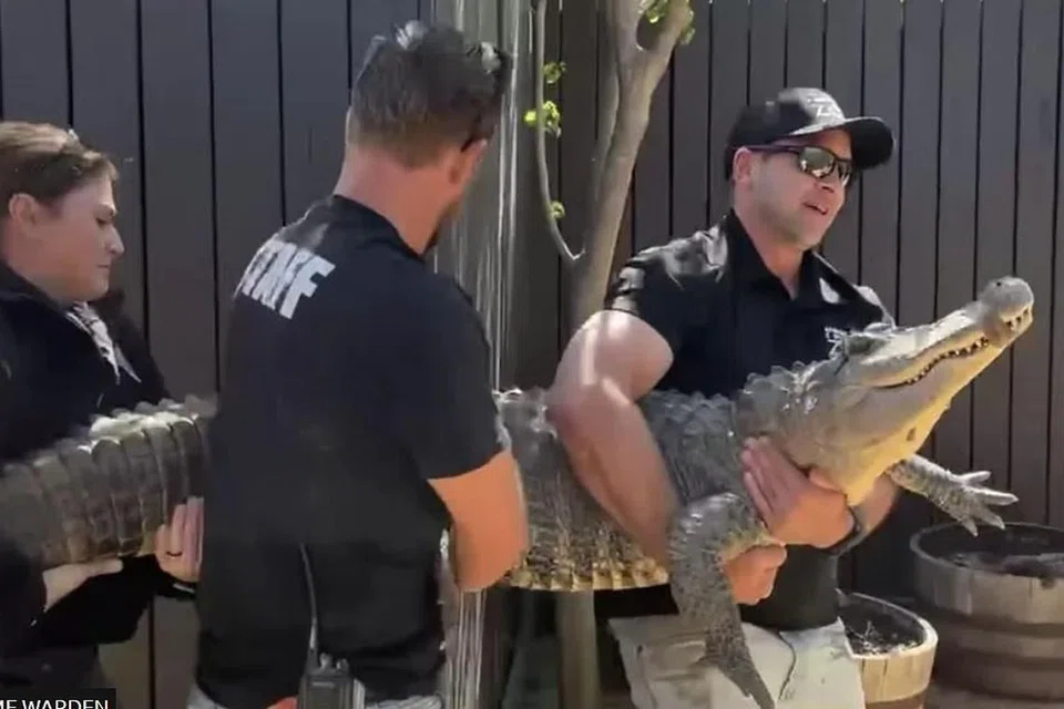 படம்: TEXAS GAME WARDEN