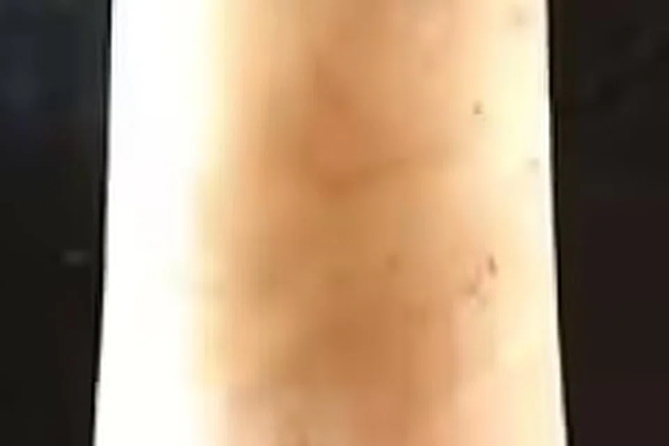 வெம்பக்கோட்டையில் கண்டெடுக்கப்பட்ட சங்கு பதக்கம்.