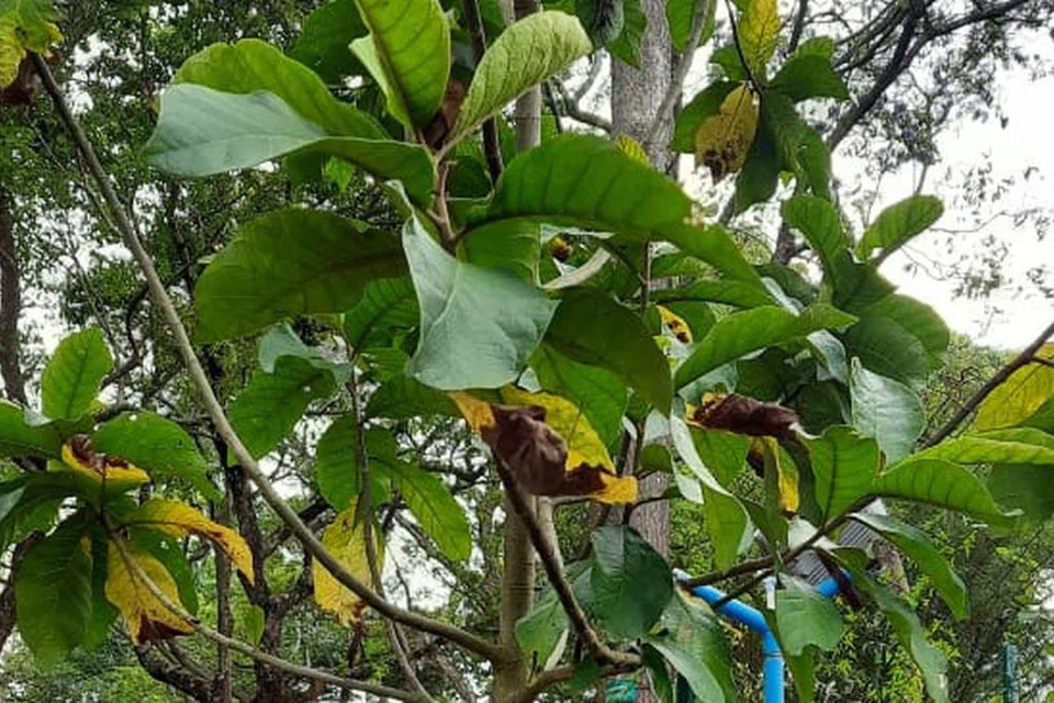 புதிய திட்டத்துக்காக ரூ.10 கோடி ஒதுக்கீடு செய்யப்பட்டுள்ளது.