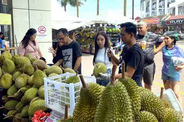 ஜோகூர் பாருவில் கடைத் தொகுதிக்கு அருகே உள்ள கடையில் டுரியான் பழத்தை உள்ளூர்க்காரர்களும் சிங்கப்பூரர்களும் தேர்ந்தெடுக்கின்றனர்.
