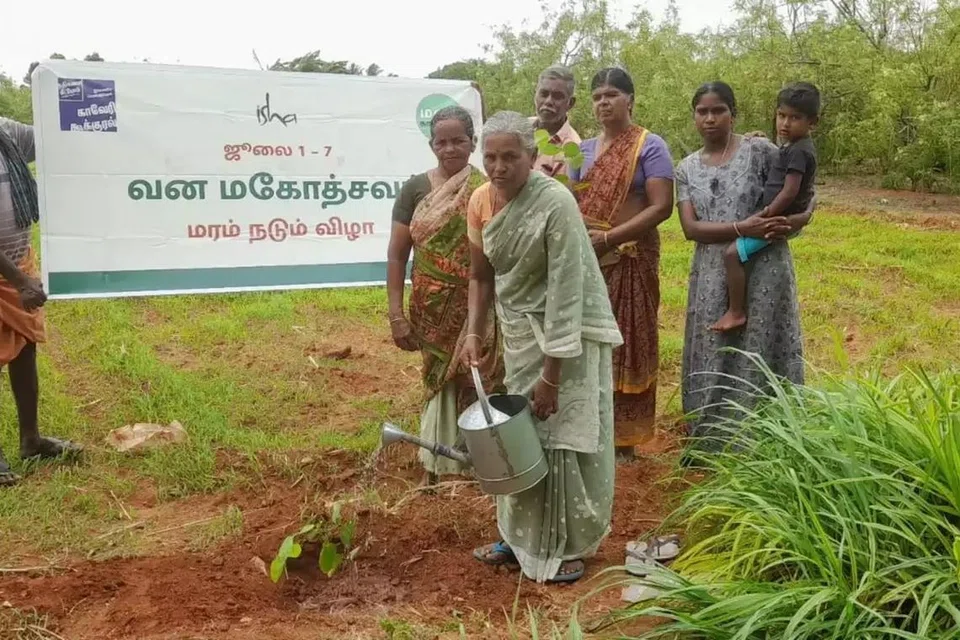 தமிழகம் முழுவதும் பல கோடி மரக்கன்றுகளை நடுவதற்கு காவேரி கூக்குரல் அமைப்பு திட்டமிட்டுள்ளது.