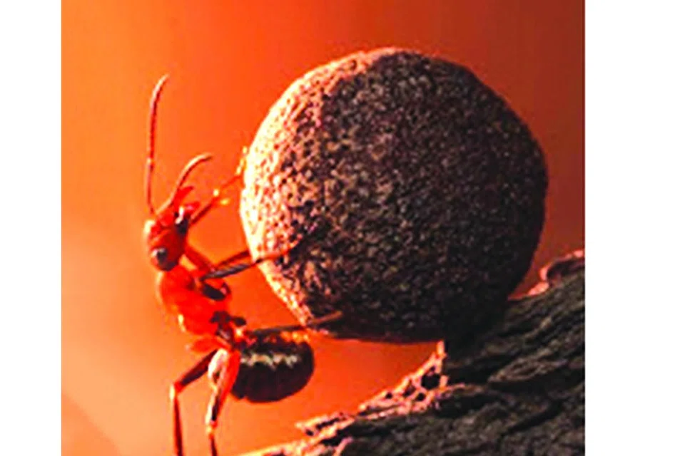 995a1558-f43c-4f02-87b4-63353304053b