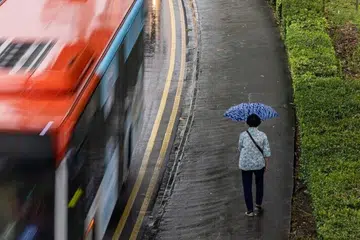 நவம்பர் மாதத்தின் முதல் இரண்டு வாரங்களில் பிற்பகல் நேரத்தில் சிங்கப்பூரின் சில பகுதிகளில் இடியுடன் கூடிய மழை பெய்ய வாய்ப்புள்ளது. 