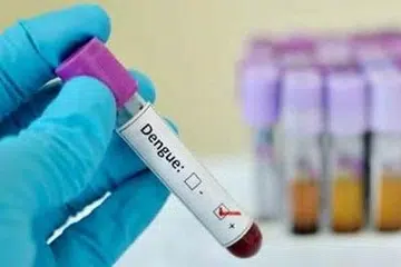 கடந்த 2021 முதல் இதுவரை இந்தியாவில் மட்டும் ஒரு மில்லியனுக்கும் அதிகமானோர் டெங்கி பாதிப்புக்கு ஆளாகிறார்கள். 