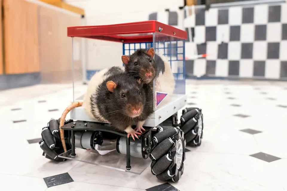 28553931-89de-4eb0-ab05-39208334fce6