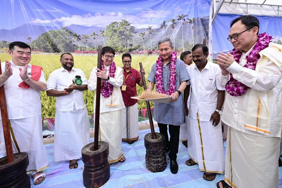 முறத்தில் அரிசியைப் புடைக்கும் வெளியுறவு அமைச்சர் டாக்டர் விவியன் பாலகிருஷ்ணன். அவரைக் கைதட்டி உற்சாகப்படுத்துகின்றனர் ஹாலந்து - புக்கிட் தீமா குழுத்தொகுதி நாடாளுமன்ற உறுப்பினர் திரு எட்வர்ட் சியா (இடமிருந்து இரண்டாவது), புக்கிட் பாஞ்சாங் நாடாளுமன்ற உறுப்பினர் திரு லியாங் எங் ஹுவா (வலம்).