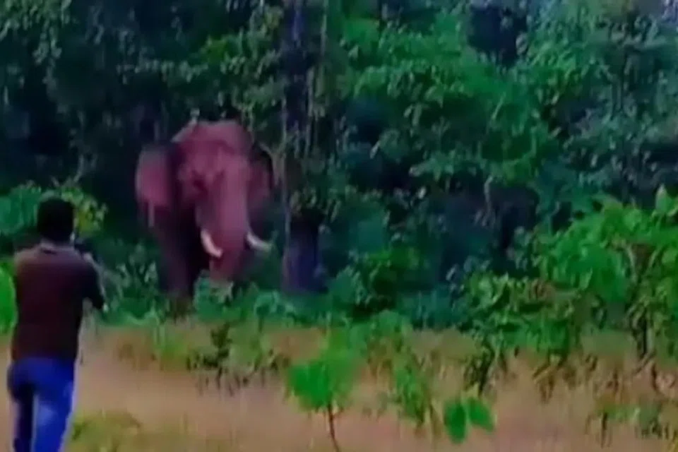 யானையைப் படமெடுக்க முயலும் ஸ்ரீகாந்த் ராமச்சந்திர சத்ரே, 23.