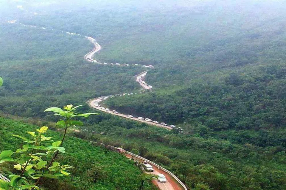 இந்தியாவில் ஆண்டுதோறும் சுமார் 15 லட்சம் ஹெக்டர் காடுகள் பல்வேறு காரணங்களால் அழிவைச் சந்திக்கின்றன.